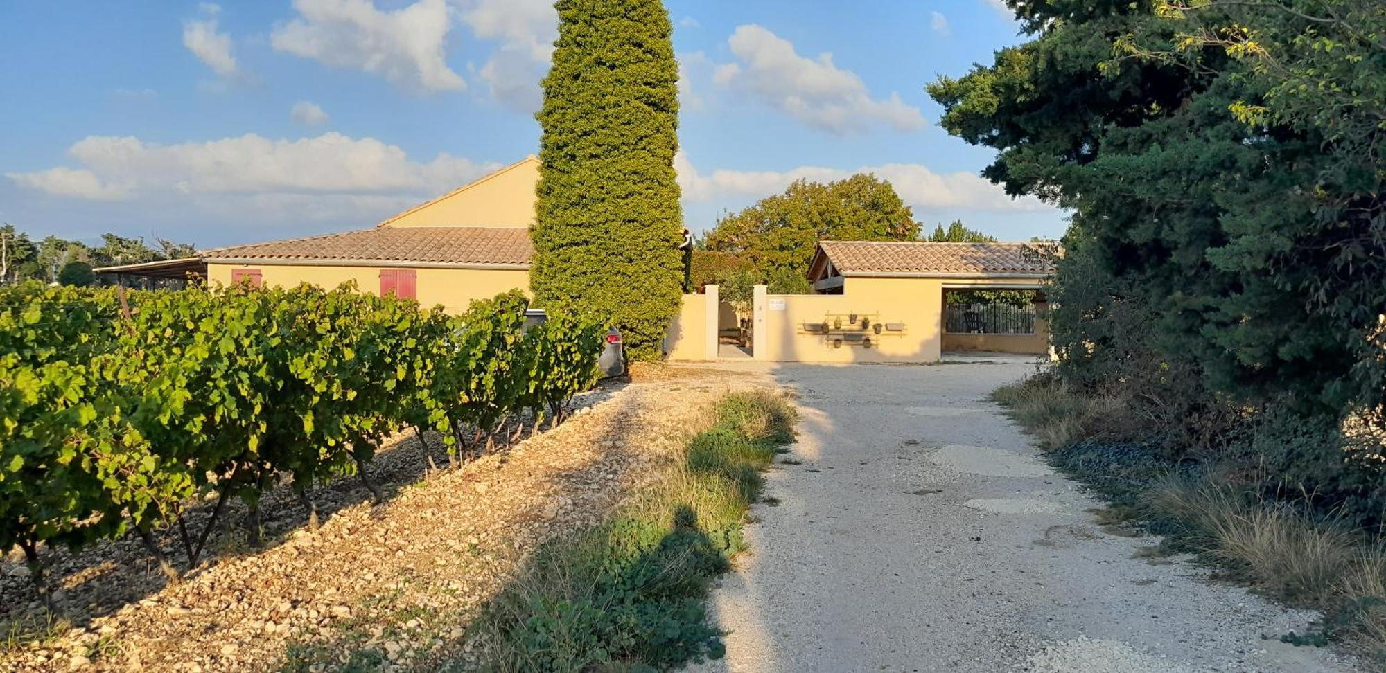 Mas La Gentille ,,, A La Campagne , Beautiful Outdoor , Swimming Pool , Pool House , Nice Green Garden , Bbq ,,, Only For You , Pour Passer Un Sejour Inoubliable Pernes-les-Fontaines Extérieur photo